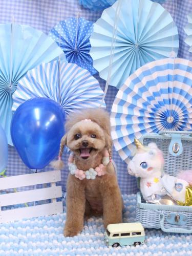 20231115麦ちゃん